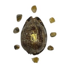 おまけ付き☆ 金運 財運 繁栄 お宝 タカラガイ ゴールド銭亀 ゴールドルチルクォーツのセット(2606) 開運 金運 風水 お守り 黄金の開運護符 開運アイテムの画像