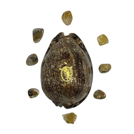 おまけ付き☆ 金運 財運 繁栄 お宝 タカラガイ ゴールド銭亀 ゴールドルチルクォーツのセット(2606) 開運 金運 風水 お守り 黄金の開運護符 開運アイテム画像