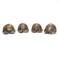 おまけ付き☆ 金運 財運 繁栄 お宝 タカラガイ ゴールド銭亀 ゴールドルチルクォーツのセット(2606) 開運 金運 風水 お守り 黄金の開運護符 開運アイテム『お任せ品』画像