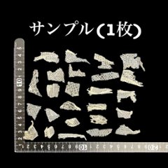 おまけ付き☆ 金運 財運 繁栄 お宝 タカラガイ ゴールド銭亀 ゴールドルチルクォーツのセット(2607) 開運 金運 風水 お守り 黄金の開運護符 開運アイテム画像