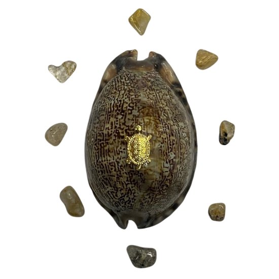 おまけ付き☆ 金運 財運 繁栄 お宝 タカラガイ ゴールド銭亀 ゴールドルチルクォーツのセット(2607) 開運 金運 風水 お守り 黄金の開運護符 開運アイテム画像