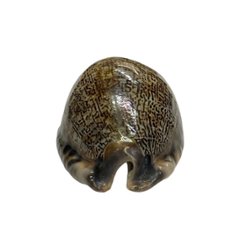 おまけ付き☆ 金運 財運 繁栄 お宝 タカラガイ ゴールド銭亀 ゴールドルチルクォーツのセット(2607) 開運 金運 風水 お守り 黄金の開運護符 開運アイテム画像