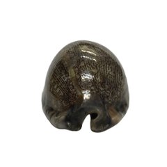 おまけ付き☆ 金運 財運 繁栄 お宝 タカラガイ ゴールド銭亀 ゴールドルチルクォーツのセット(2609) 開運 金運 風水 お守り 黄金の開運護符 開運アイテム画像