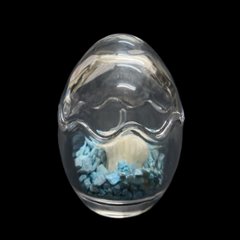 天然白珊瑚 たまごサンゴ　(2641）インテリア 置き飾り 貝殻 標本 限定品の画像