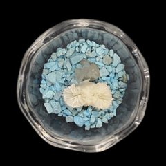 天然白珊瑚 たまごサンゴ　(2641）インテリア 置き飾り 貝殻 標本 限定品画像