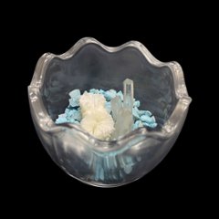 天然白珊瑚 たまごサンゴ　(2641）インテリア 置き飾り 貝殻 標本 限定品画像