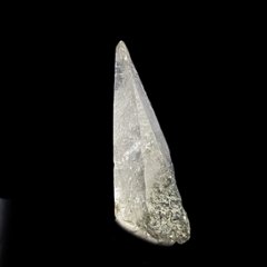 天然石  ガネーシュヒマール産  ヒマラヤ水晶 クラスター  クローライトINクォーツ（26121）画像
