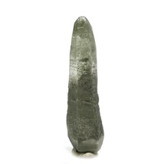 天然石  ガネーシュヒマール産  ヒマラヤ水晶 両剣ポイント  クローライトINクォーツ（26128）の画像