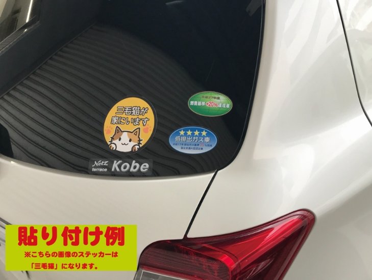 【ステッカー】サバトラ【カーステッカー】画像