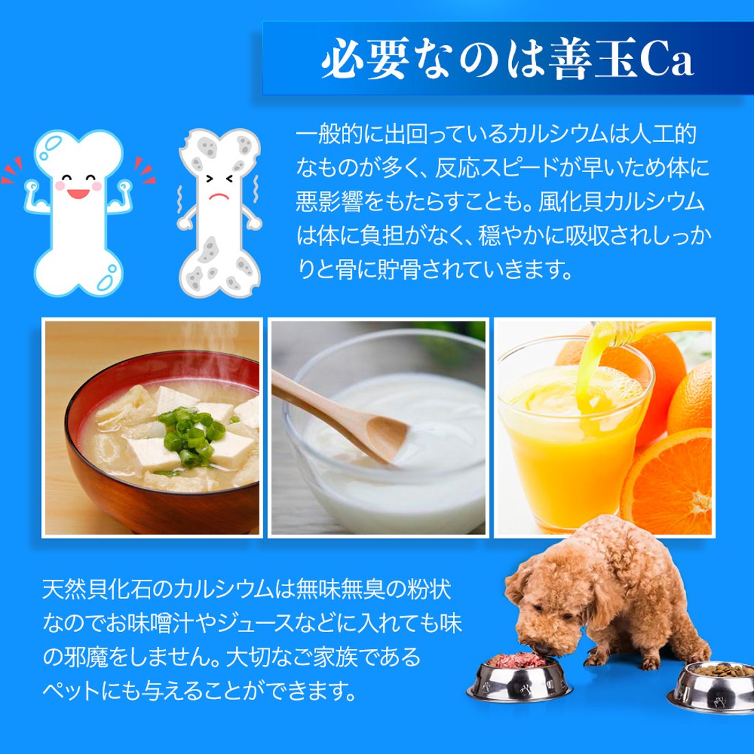 ソマチット粉末 「天然貝化石のカルシウム」 220g入り (旧 太古の 