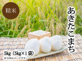 あきたこまち【精米　5kg】の画像