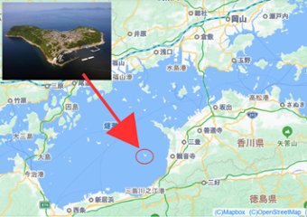 高級　伊吹島産いりこ（大羽）400ｇ画像