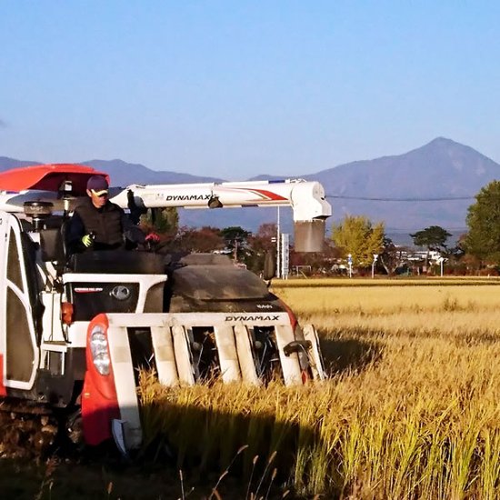 精米　会津産コシヒカリ 真空パック 300g×3個画像