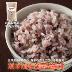 【お試しパック】活き活き 発芽＆雑穀300g(2合パック1袋）の画像