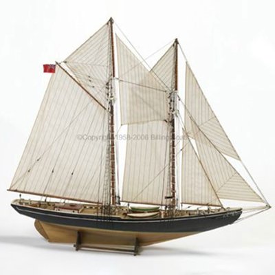 ブルーノーズの画像