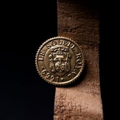 ソレイユロイヤル(構造模型キット)画像