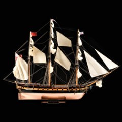 HMS　サプライズの画像