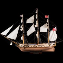 HMS サプライズ画像