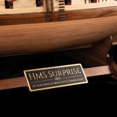 HMS サプライズ画像