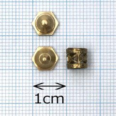 ランタンタカサ13mm画像