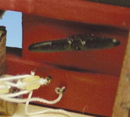 デッキクリート（大）タイプ2　（14ｍｍ）5コ画像