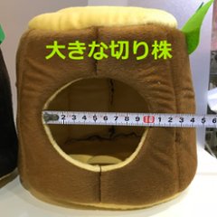 大きな切り株画像