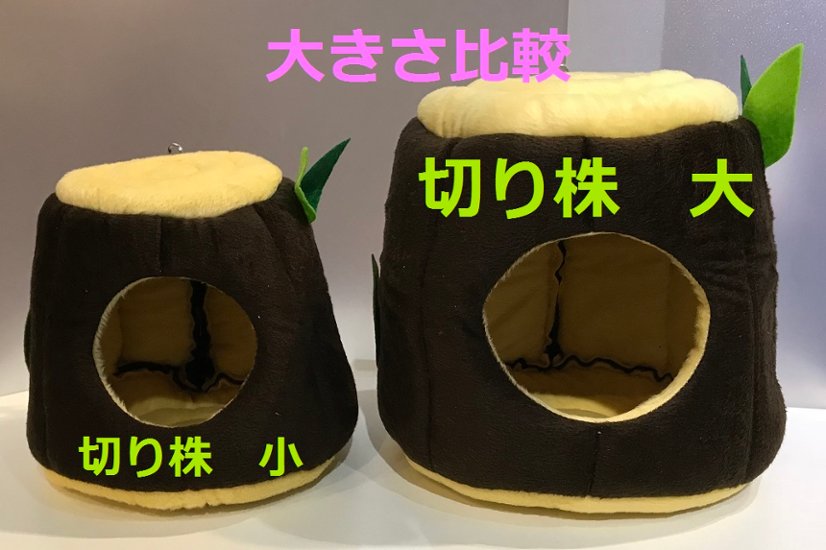 大きな切り株画像