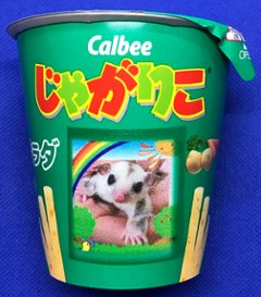 じゃがりこ　サラダ　◆人間用です画像