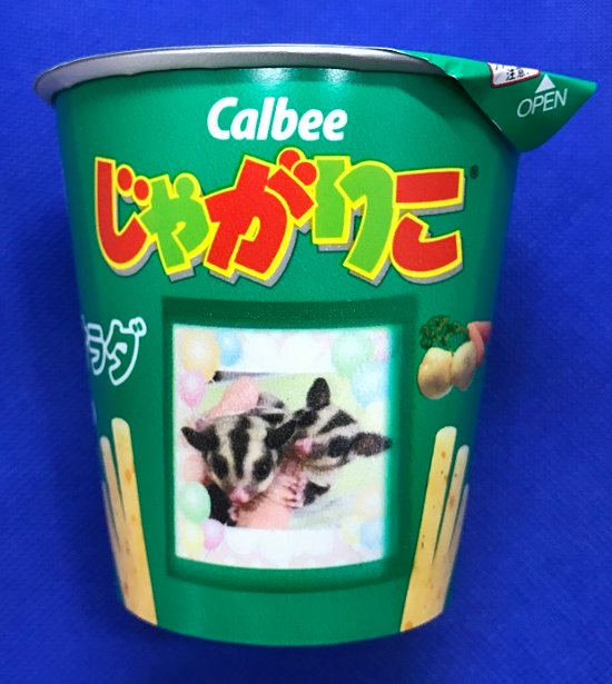 じゃがりこ　サラダ　◆人間用です画像