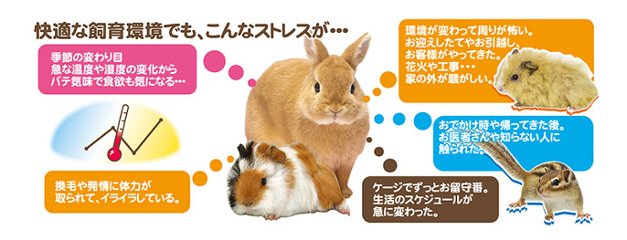 リキッドエイド  マルチビタミン小動物  /　三晃商会画像