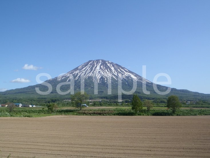 後志　羊蹄山画像