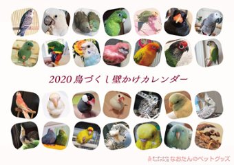 2020年 鳥づくし壁掛けカレンダーの画像