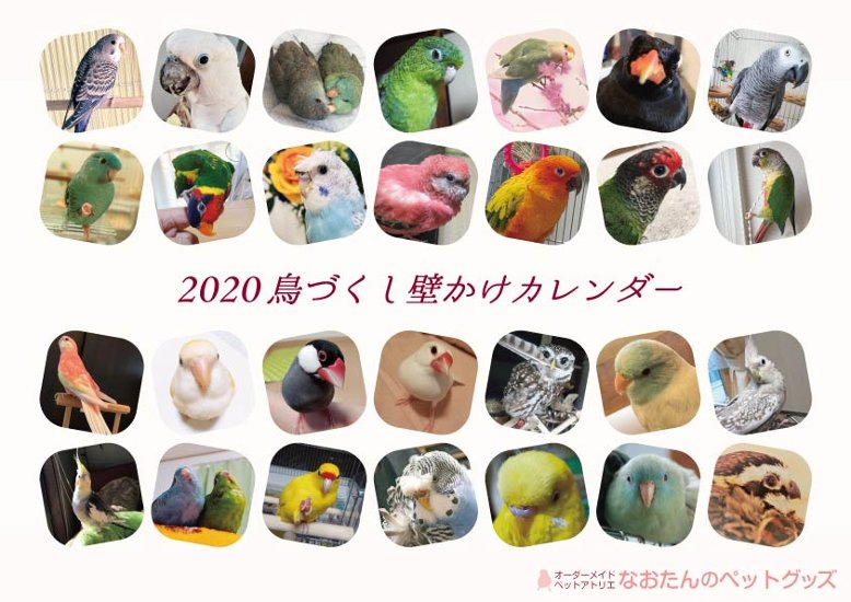 2020年 鳥づくし壁掛けカレンダー画像