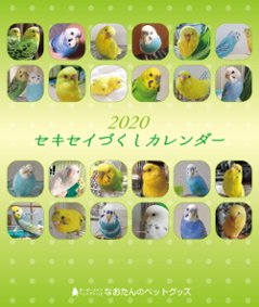 2020年 セキセイづくし卓上カレンダー（セキセイインコ）の画像