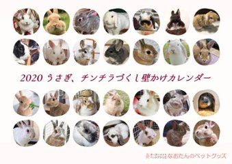 2020年 うさぎ、チンチラづくし壁掛けカレンダーの画像