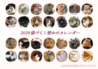 2020年 猫づくし壁掛けカレンダーの画像