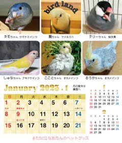 2023年 鳥づくし卓上カレンダーの画像