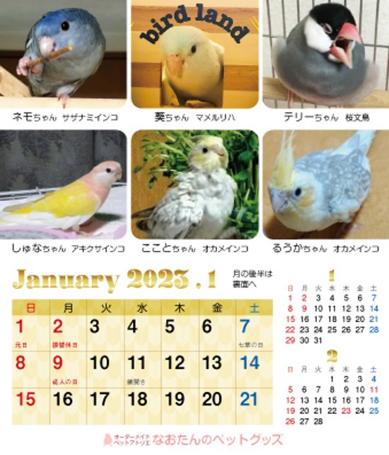 2023年 鳥づくし卓上カレンダー画像