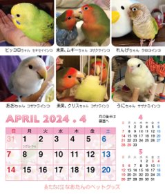 2024年 鳥づくし卓上カレンダーの画像