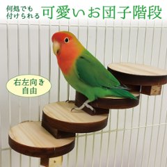 鳥用 お団子階段の画像