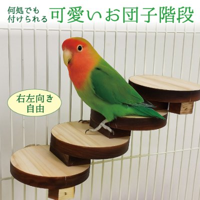 鳥用 お団子階段の画像