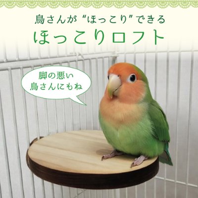 鳥用　ほっこりロフト（数量限定販売）の画像