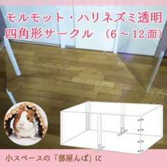 チンチラ・ハリネズミ透明 四角形サークルの画像