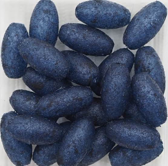 パウダーPナツメ PP-5 16個　2 Set 画像