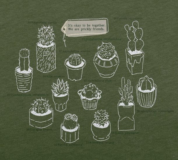 cactus画像