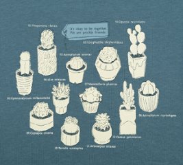 cactus画像