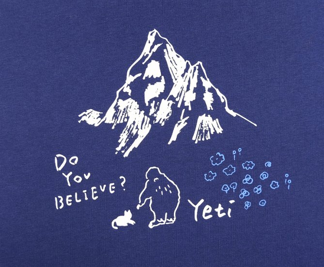 Yeti-j26-06画像