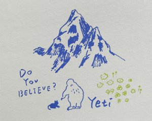 Yeti-j26-06画像