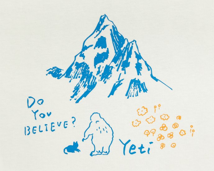 Yeti-j26-06画像