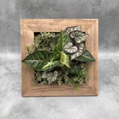 造花グリーン木製フレーム壁掛けの画像